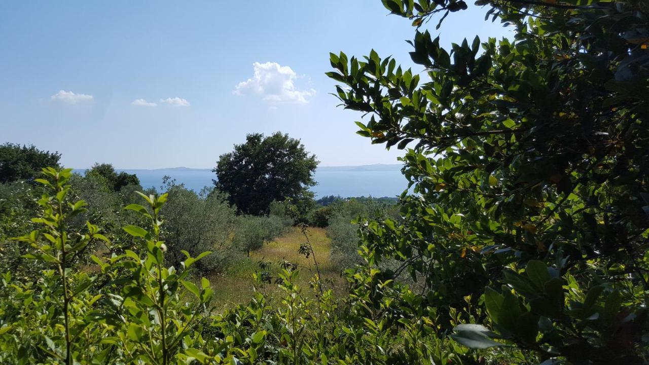 Casale Citerno Apartment Bolsena Exterior foto
