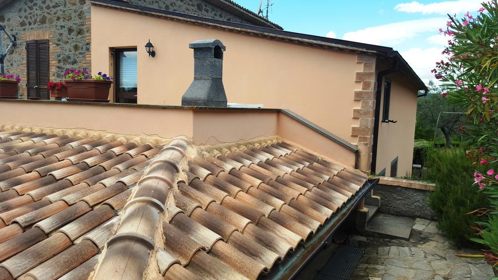 Casale Citerno Apartment Bolsena Exterior foto